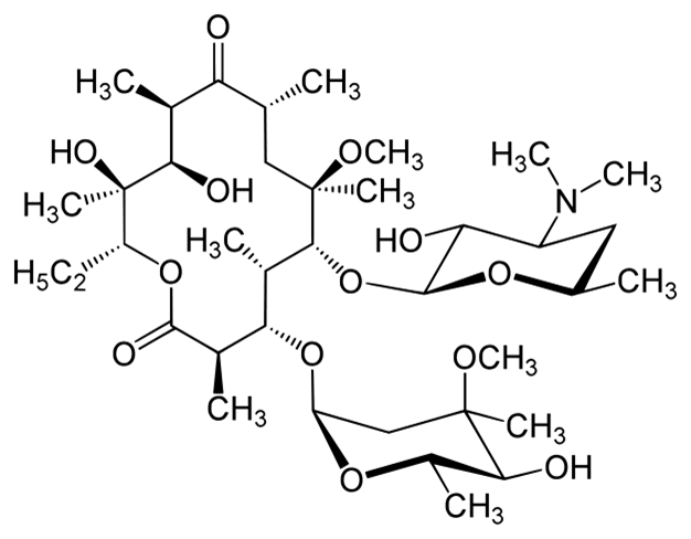 Кларитромицин - фармакокинетика и побочные действия. Препараты, содержащие Кларитромицин - Medzai.net