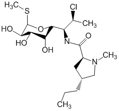 Clindamycine - Pharmacocinétique et effets indésirables. Les médicaments avec le principe actif Clindamycine - Medzai.net