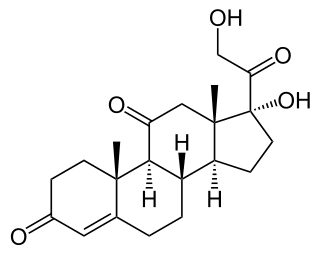 Кортизон - фармакокинетика и побочные действия. Препараты, содержащие Кортизон - Medzai.net