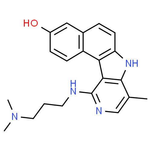 Intoplicine - Pharmacocinétique et effets indésirables. Les médicaments avec le principe actif Intoplicine - Medzai.net