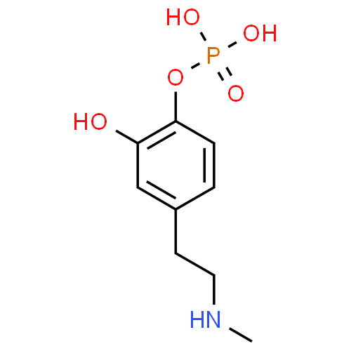 Fosopamine - Pharmacocinétique et effets indésirables. Les médicaments avec le principe actif Fosopamine - Medzai.net