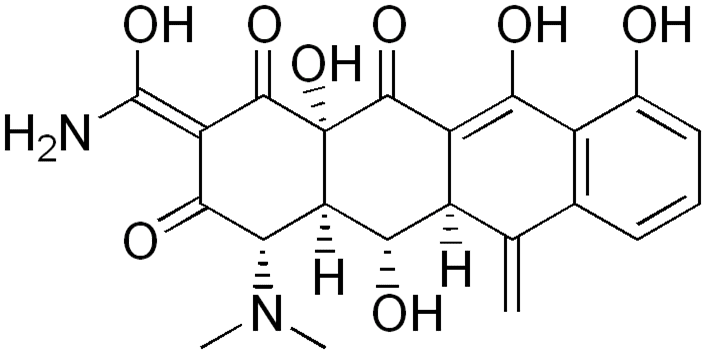 Méthylènecycline (chlorhydrate de) - Pharmacocinétique et effets indésirables. Les médicaments avec le principe actif Méthylènecycline (chlorhydrate de) - Medzai.net